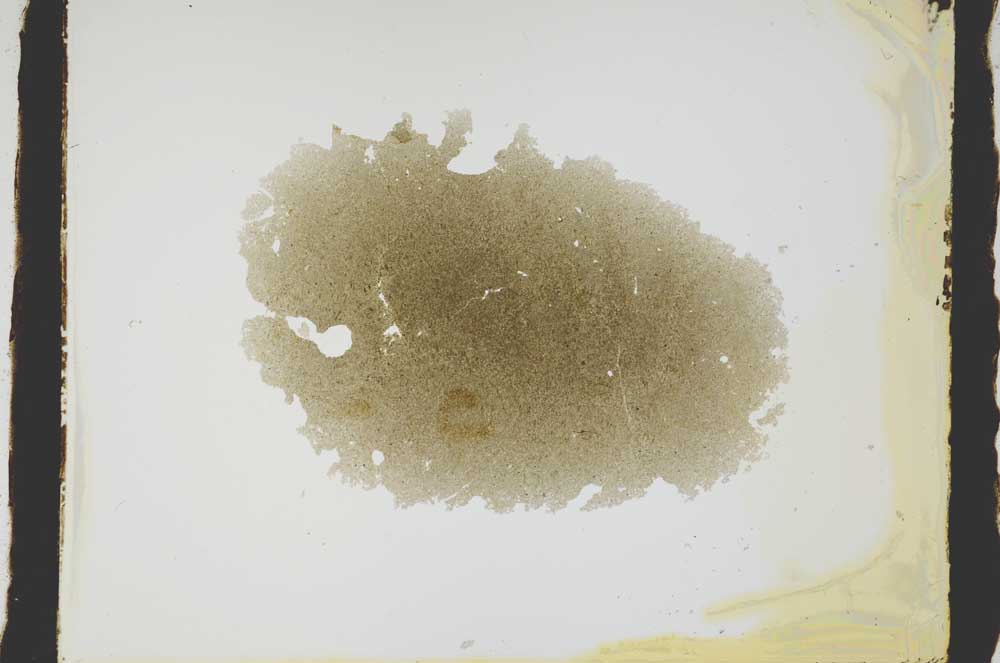 Plane Polarized, S2962