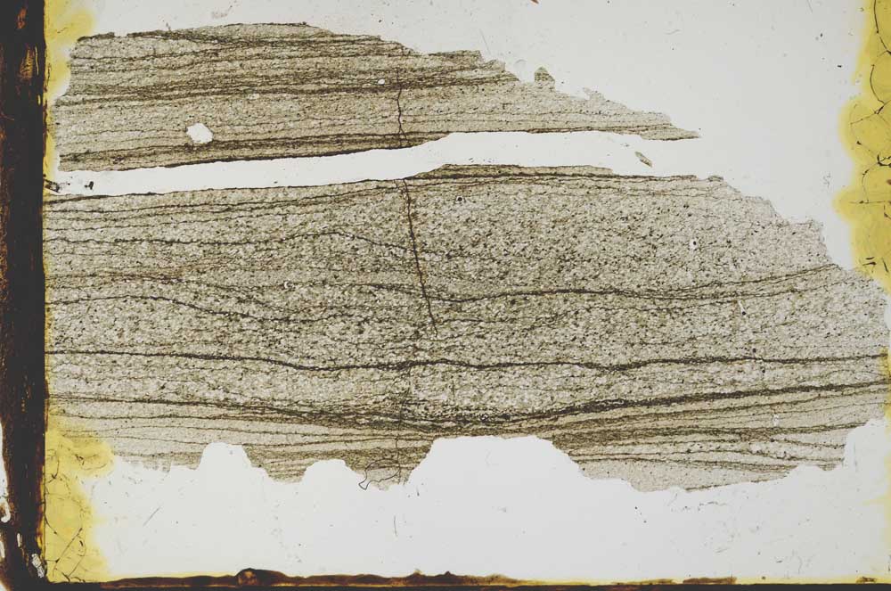 Plane Polarized, S2967