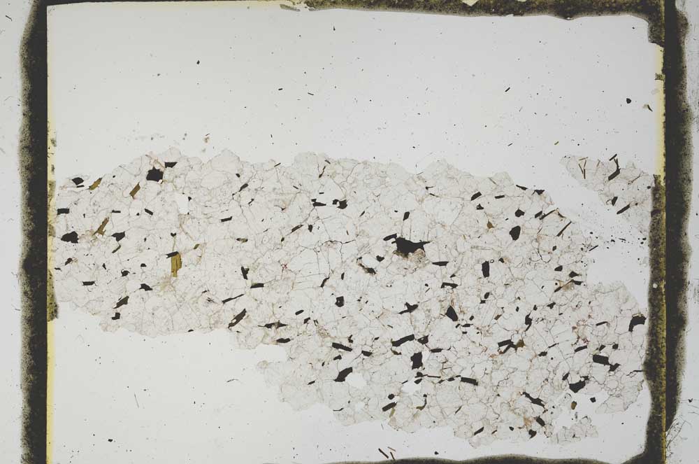 Plane Polarized, S2985
