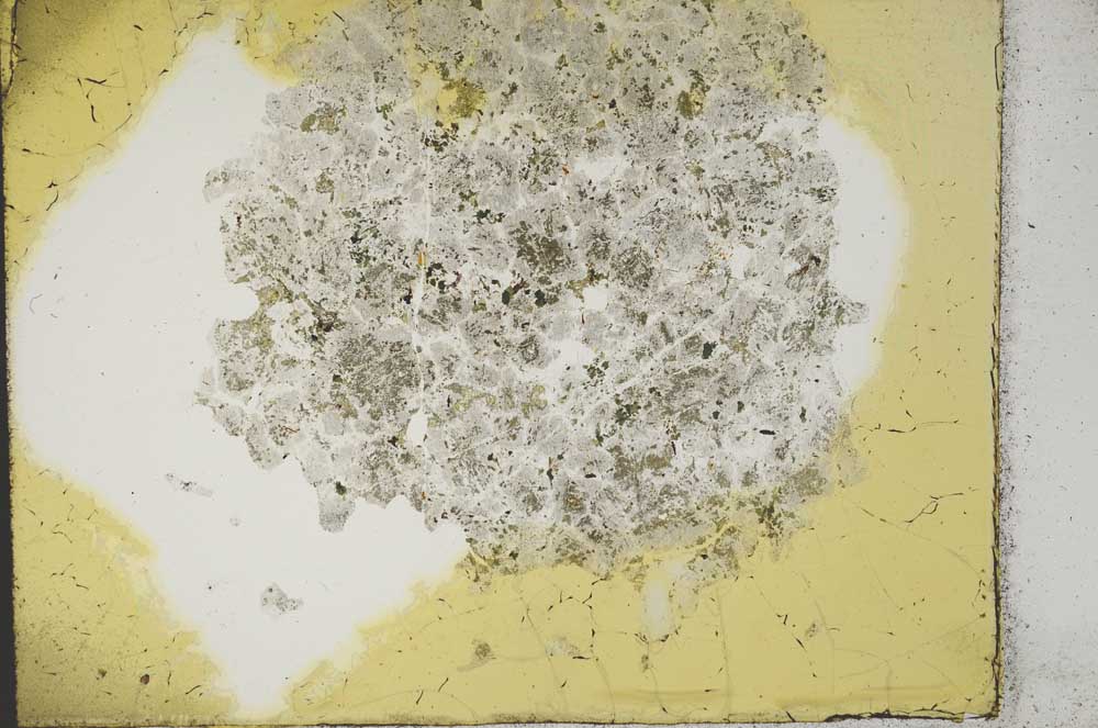 Plane Polarized, S13232