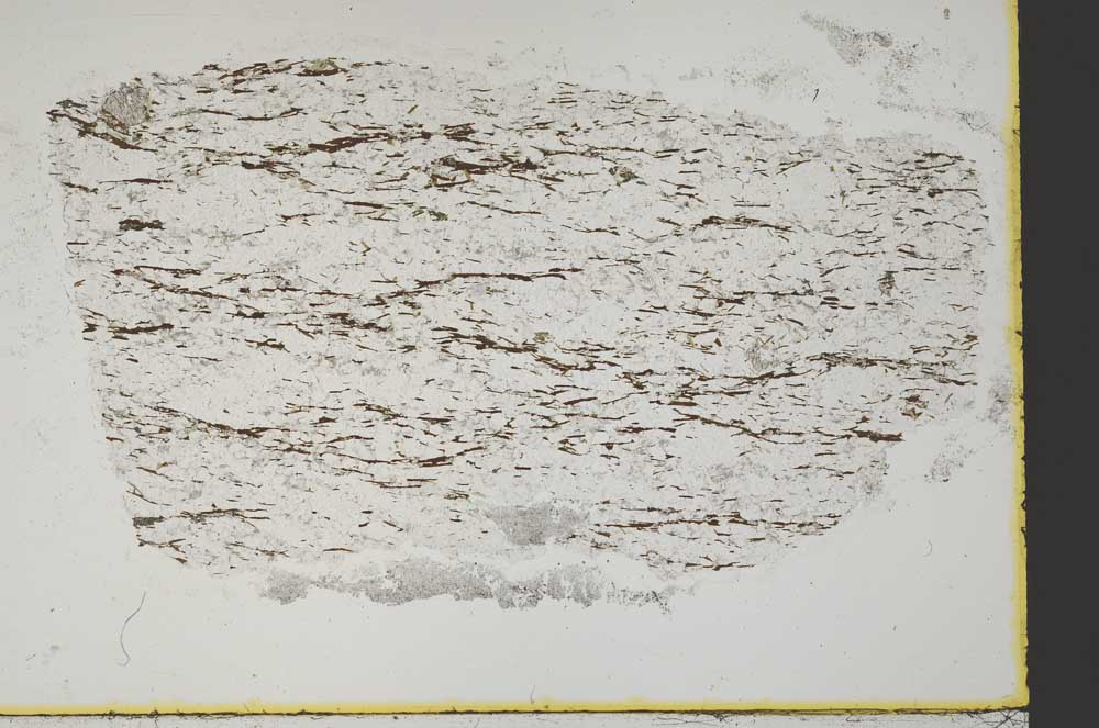 Plane Polarized, S13251/A
