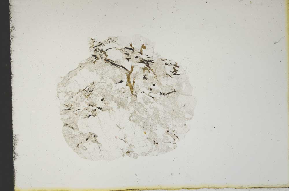 Plane Polarized, S13254