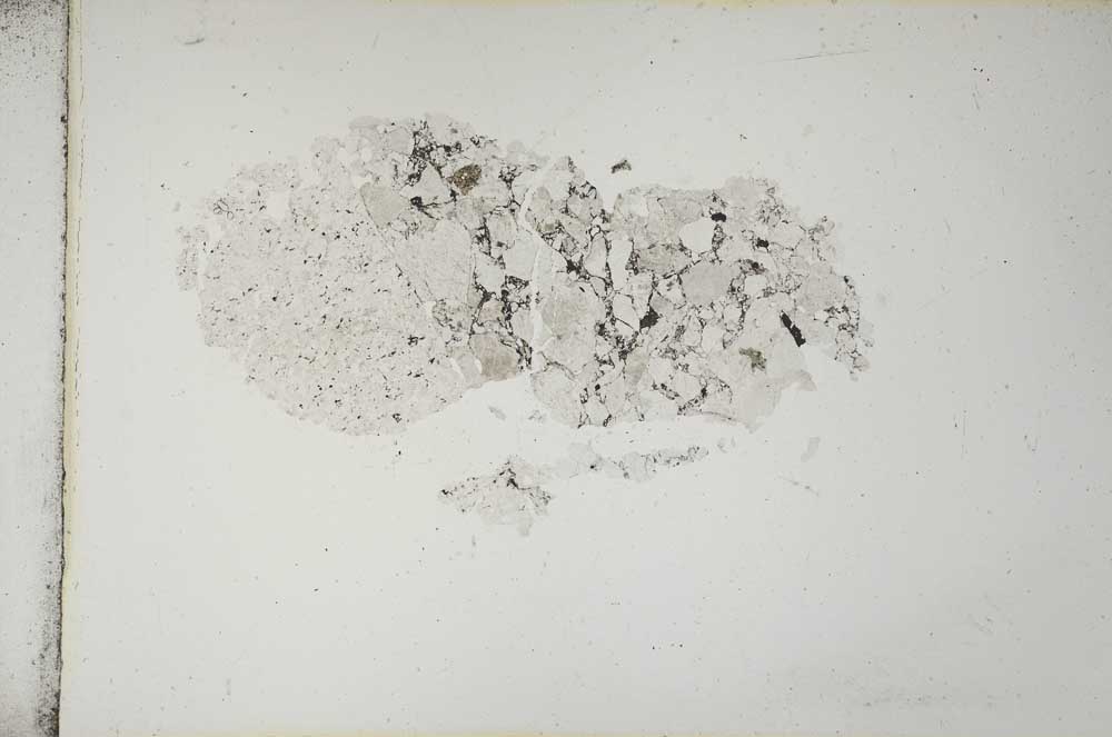 Plane Polarized, S13264
