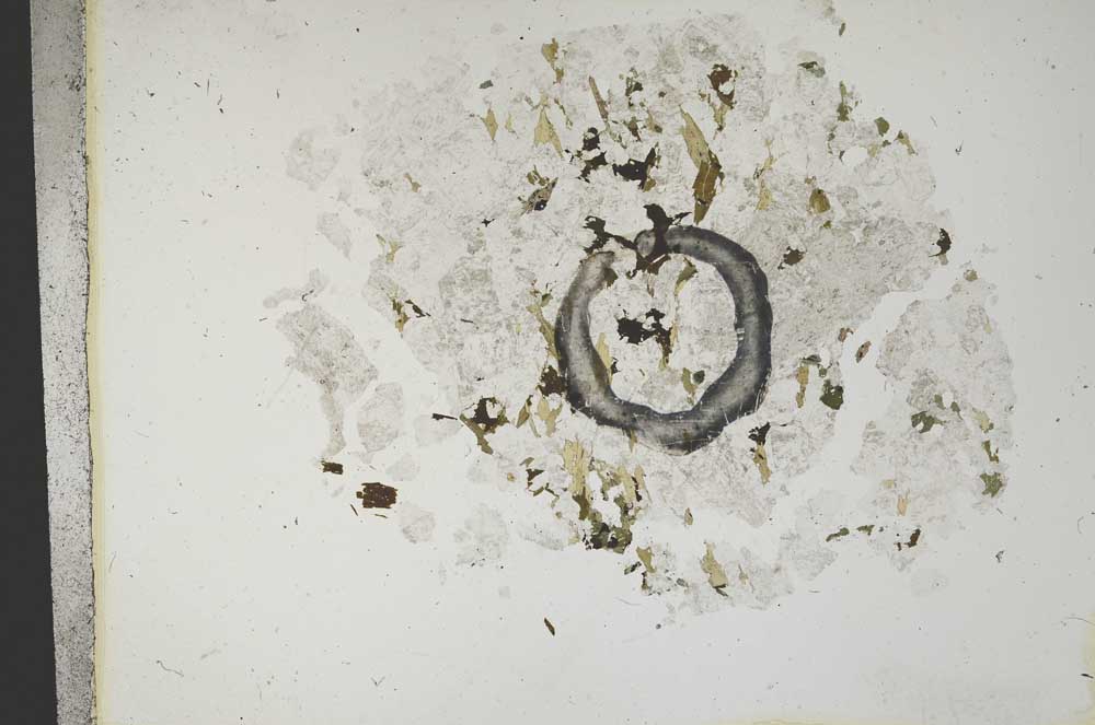 Plane Polarized, S13265