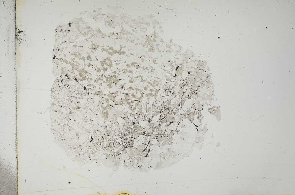 Plane Polarized, S13267