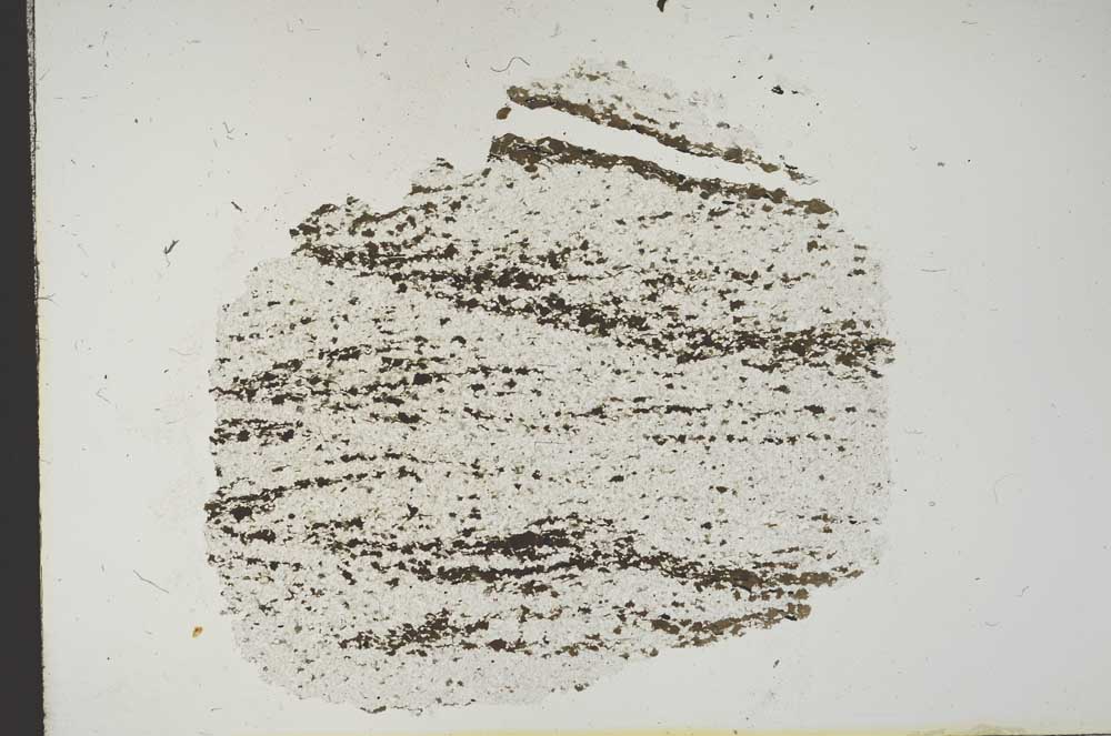 Plane Polarized, S13271