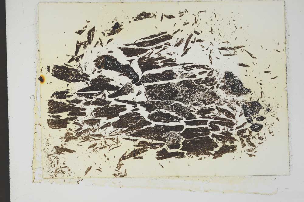 Plane Polarized, S13272