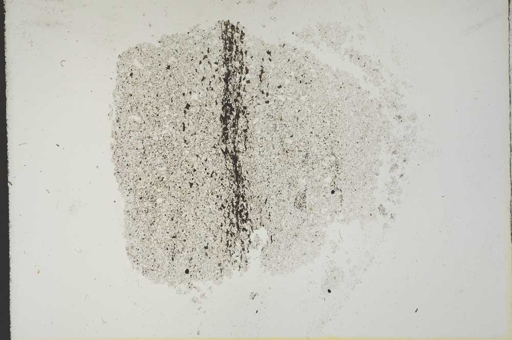 Plane Polarized, S13274