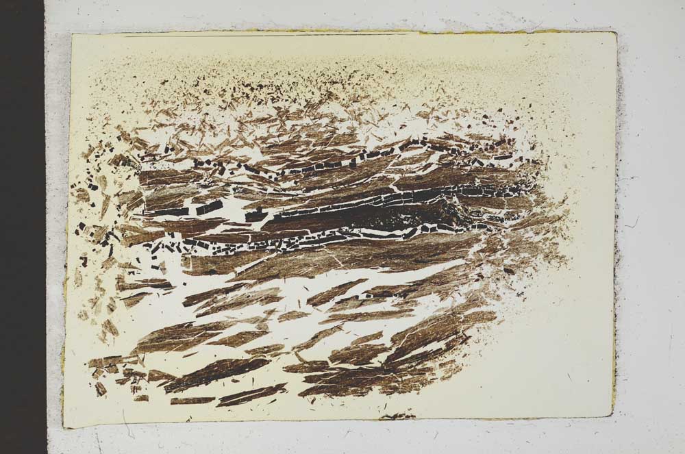 Plane Polarized, S13275