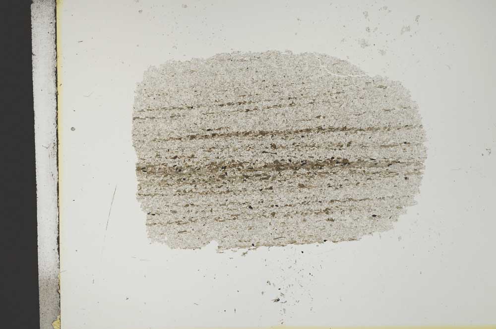 Plane Polarized, S13278
