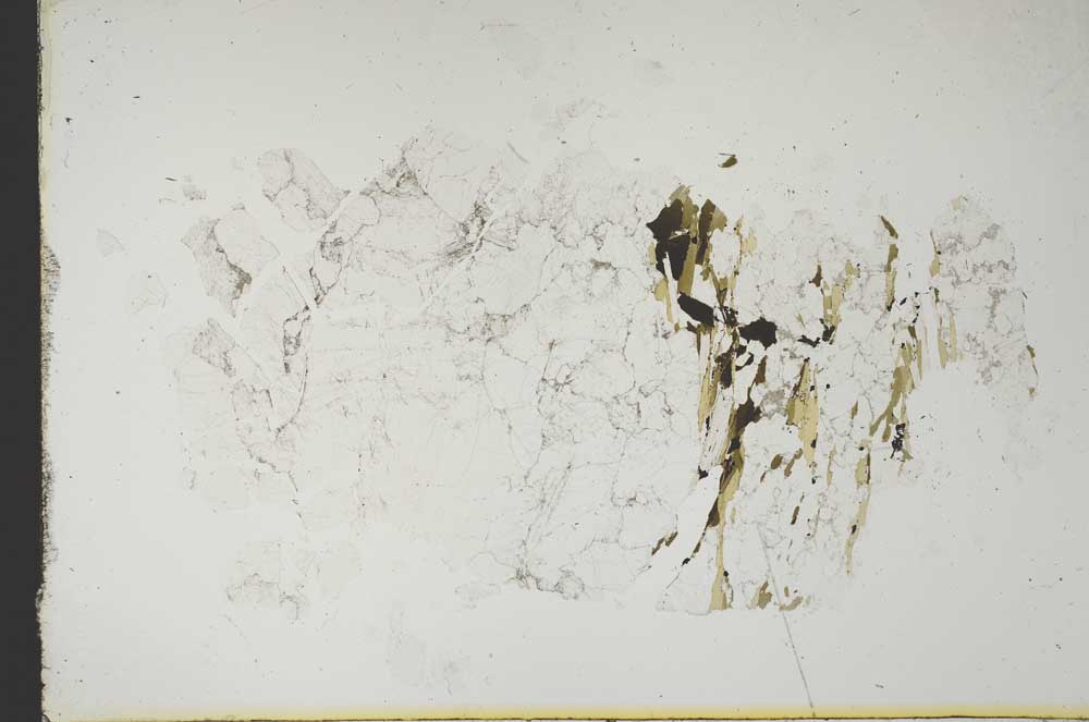 Plane Polarized, S13293