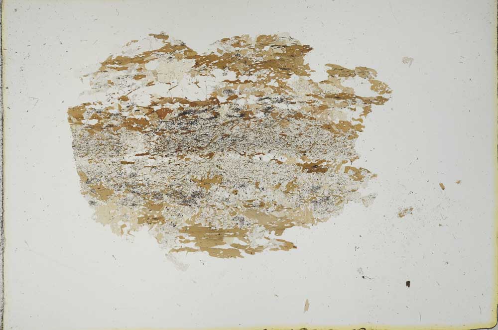 Plane Polarized, S13294