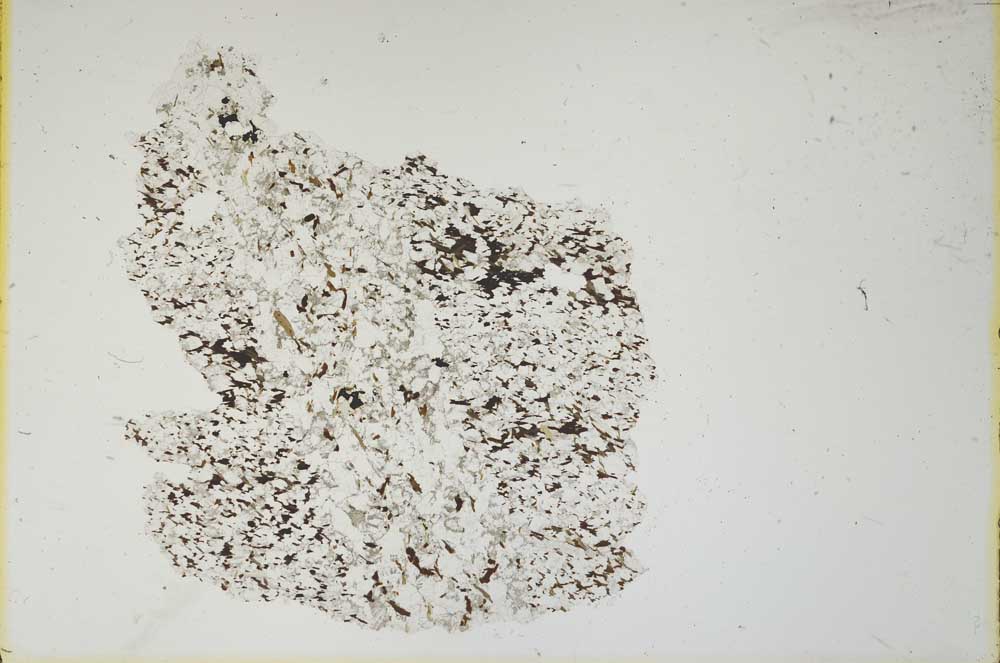 Plane Polarized, S13296