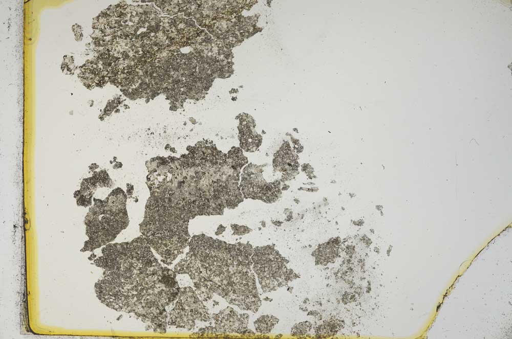 Plane Polarized, S13297