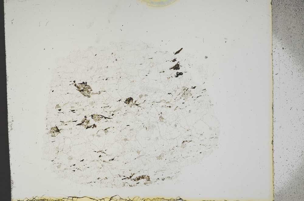 Plane Polarized, S13298