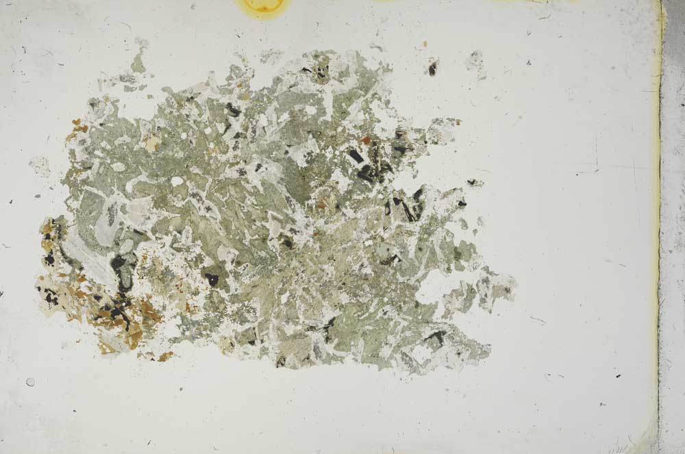 Plane Polarized, S13299