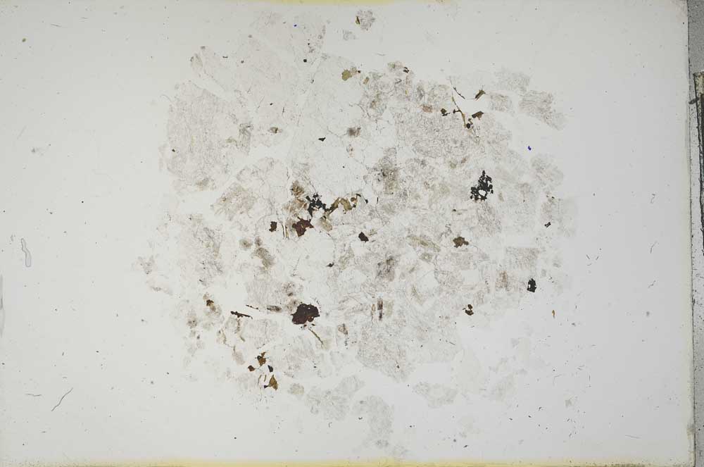 Plane Polarized, S13300