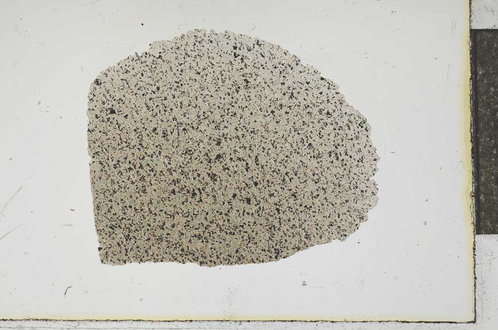 Plane Polarized, S13304