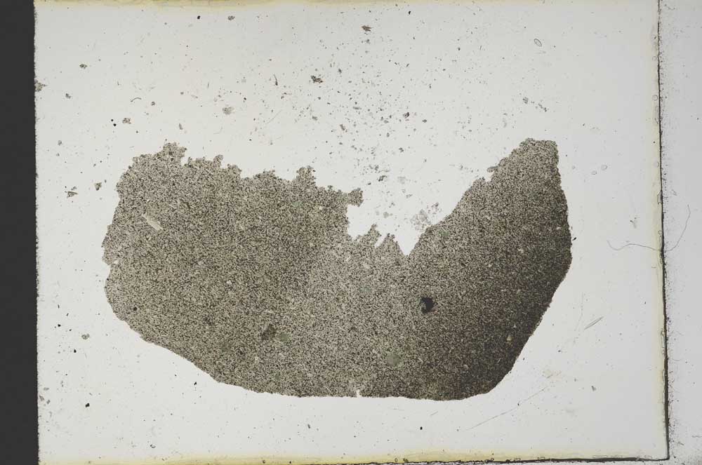Plane Polarized, S13305