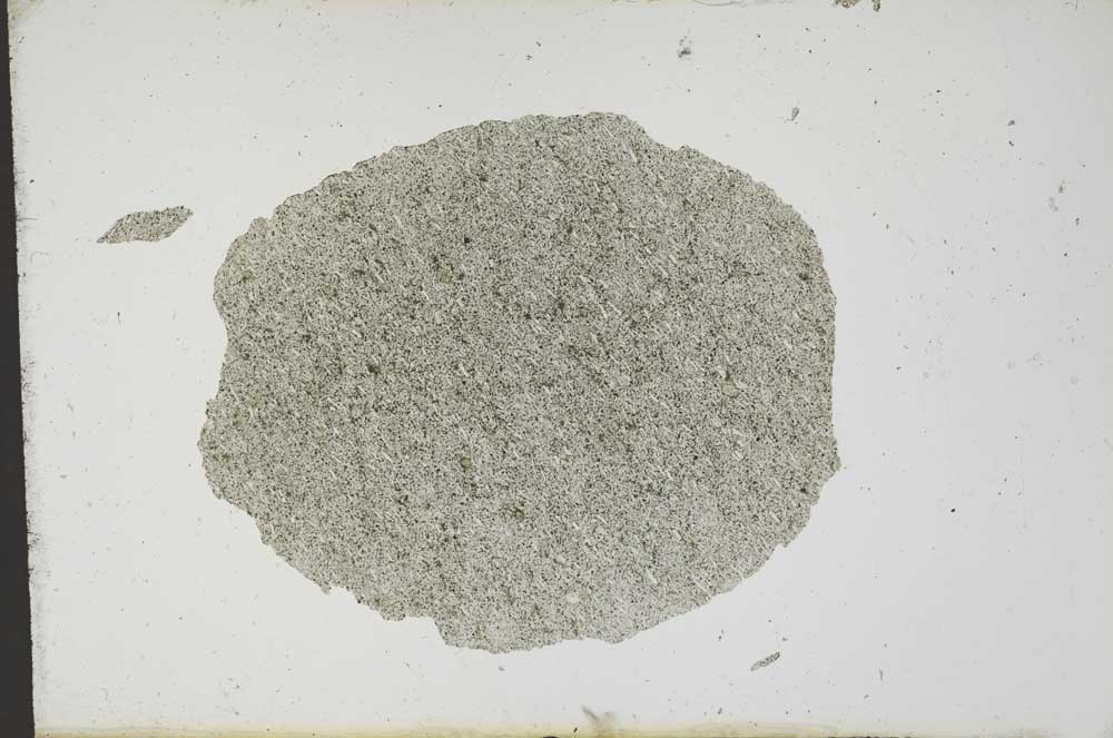 Plane Polarized, S13307