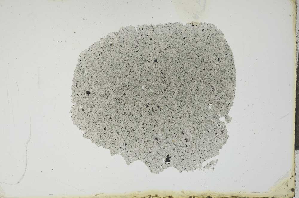 Plane Polarized, S13309