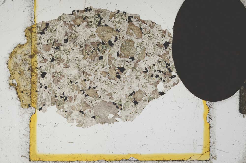 Plane Polarized, S13311
