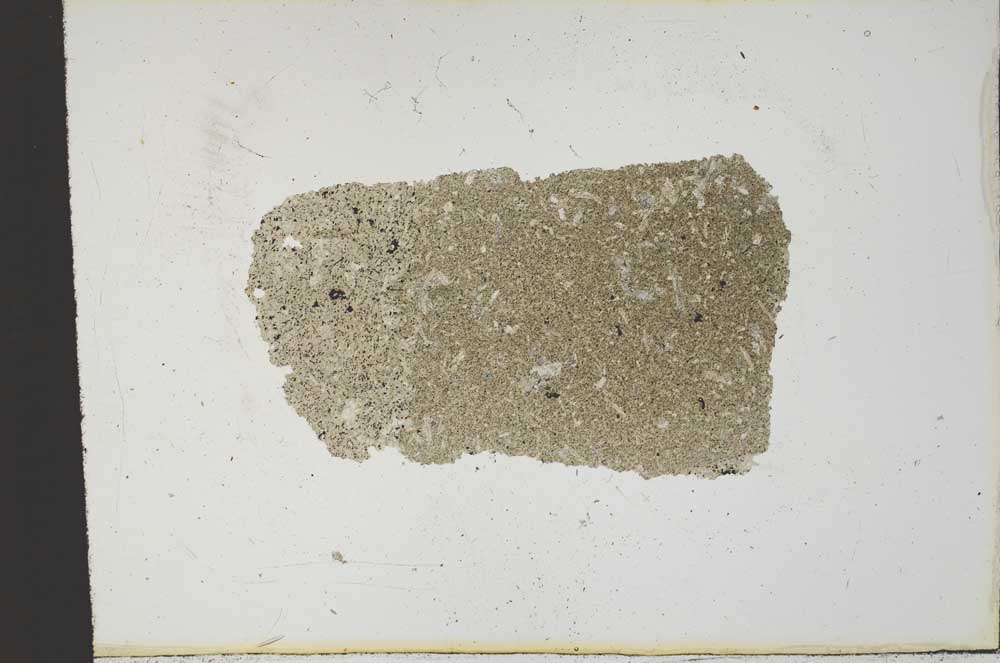 Plane Polarized, S13321