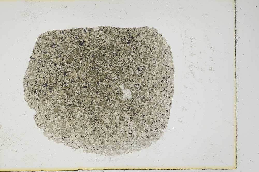 Plane Polarized, S13323