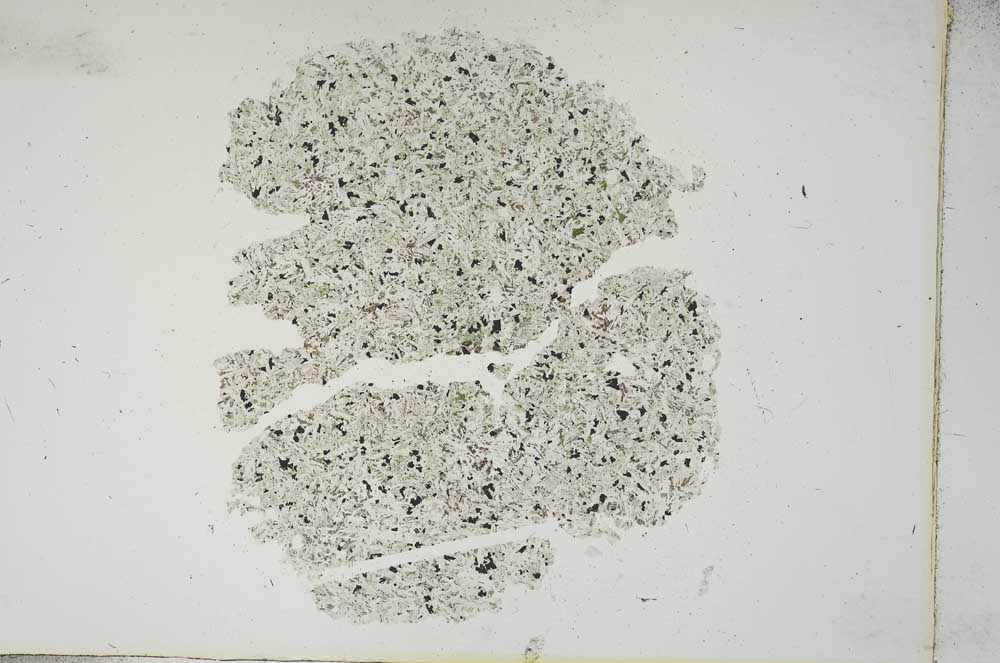 Plane Polarized, S13332