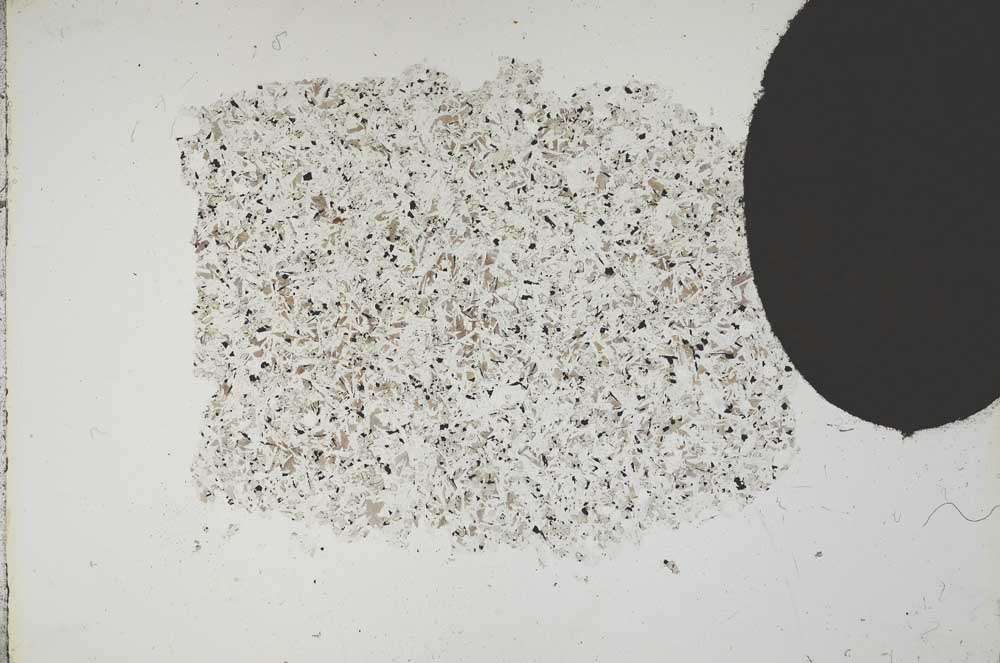 Plane Polarized, S13336