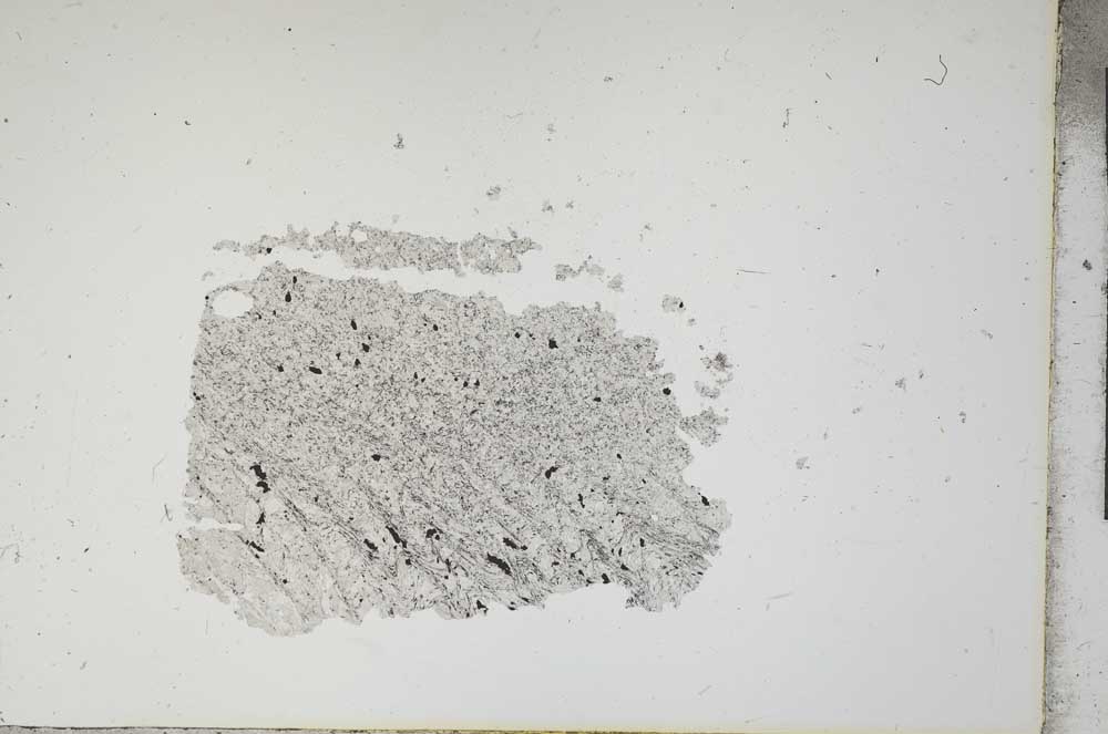 Plane Polarized, S13341