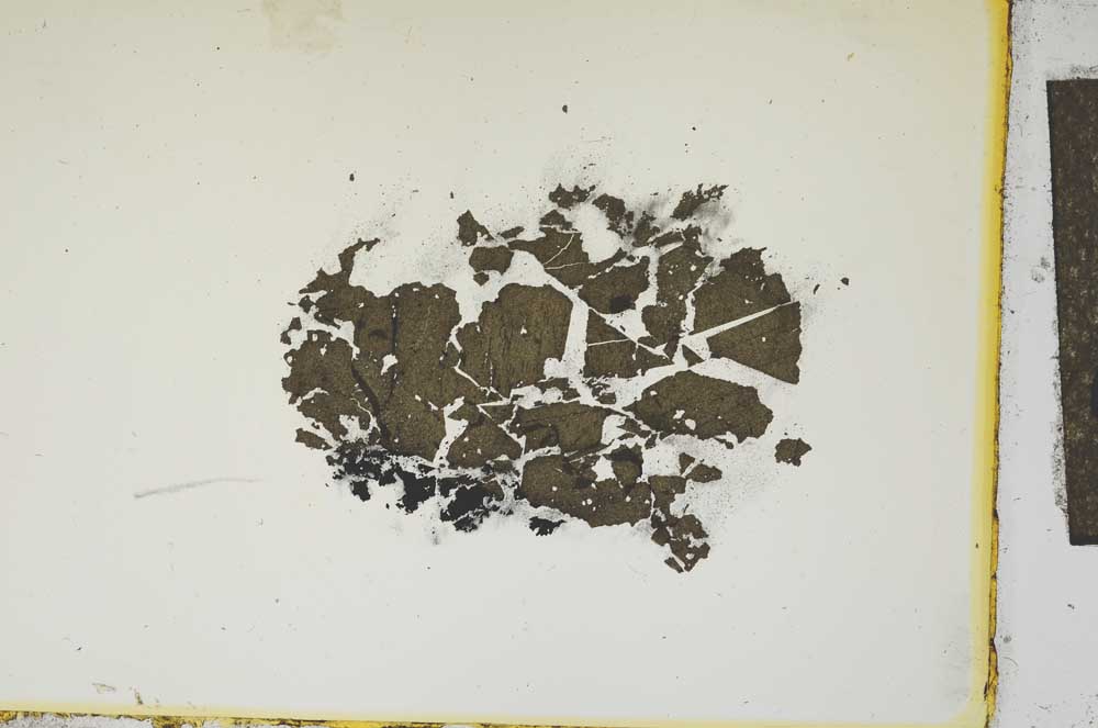 Plane Polarized, S13349/B