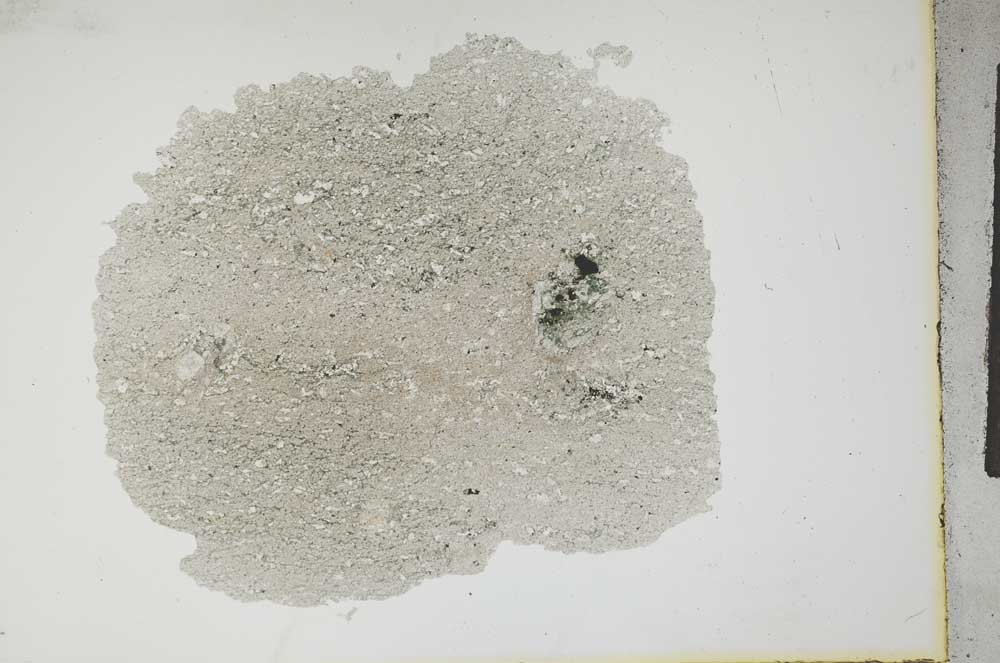 Plane Polarized, S13351