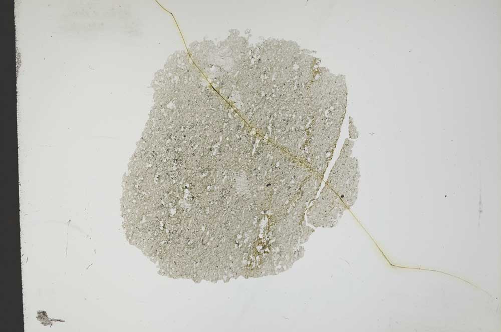 Plane Polarized, S13352