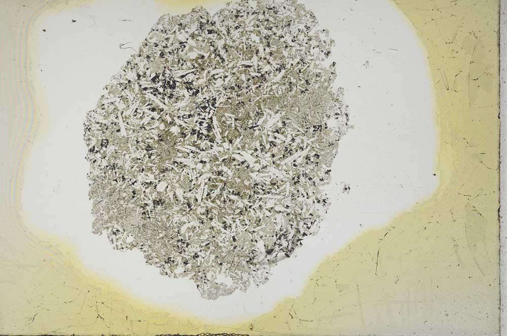 Plane Polarized, S13357