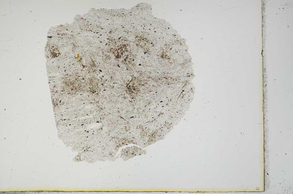 Plane Polarized, S13372