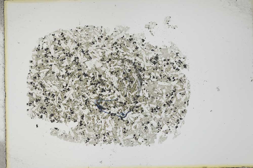 Plane Polarized, S13390