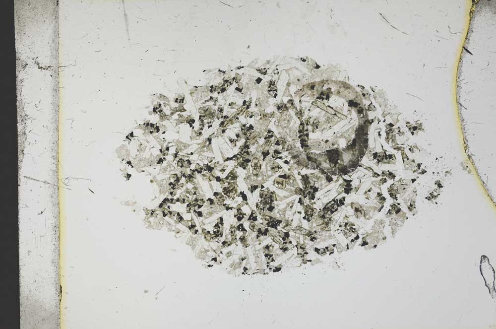 Plane Polarized, S13396