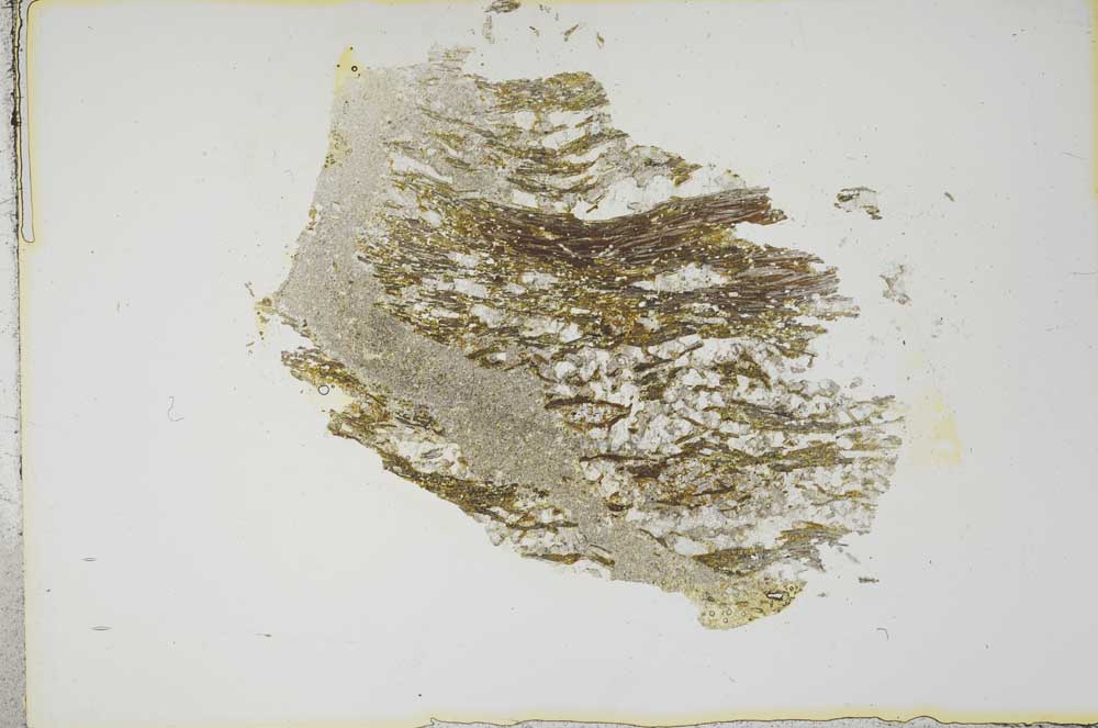 Plane Polarized, S13422