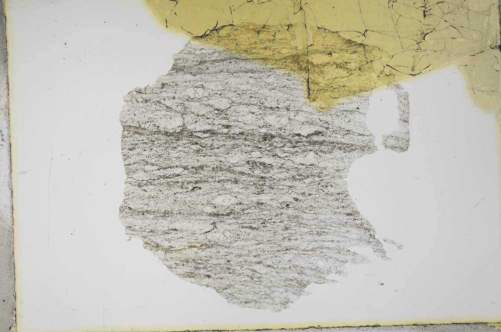 Plane Polarized, S13451