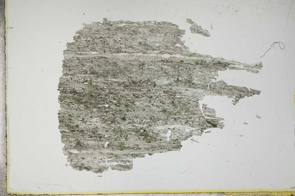 Plane Polarized, S13452