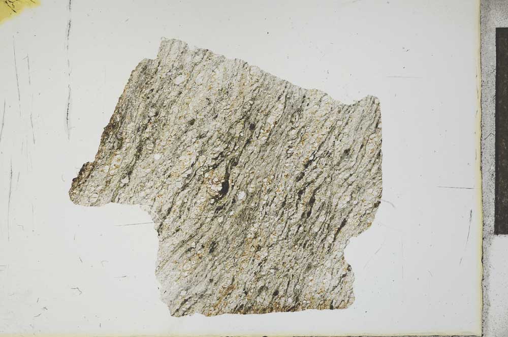 Plane Polarized, S13453