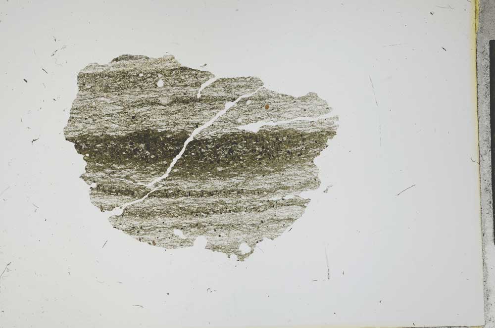 Plane Polarized, S13457