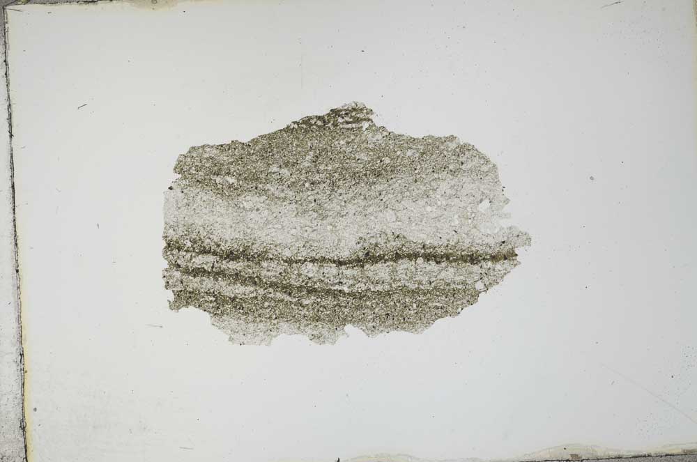 Plane Polarized, S13461