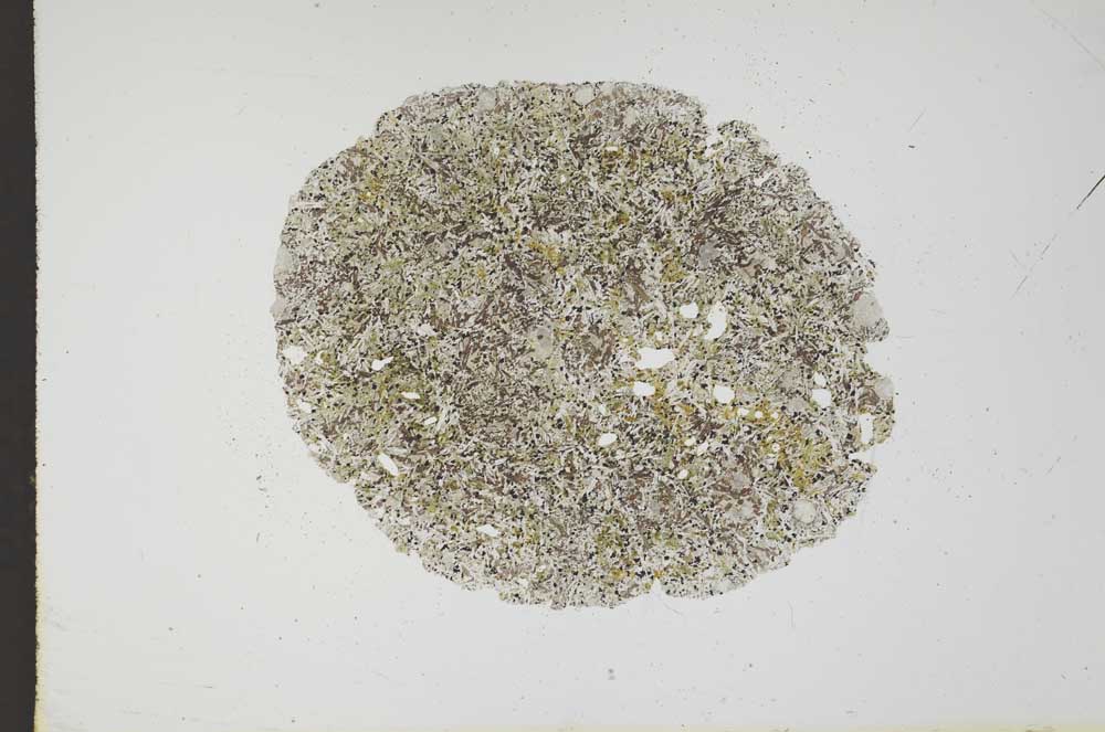 Plane Polarized, S13488/A