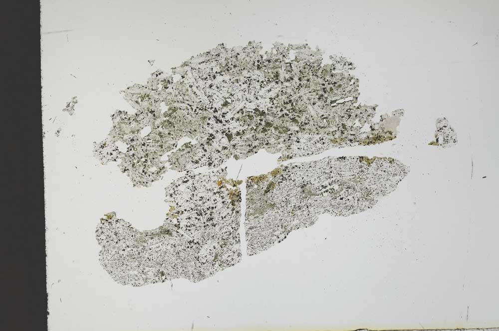 Plane Polarized, S13489