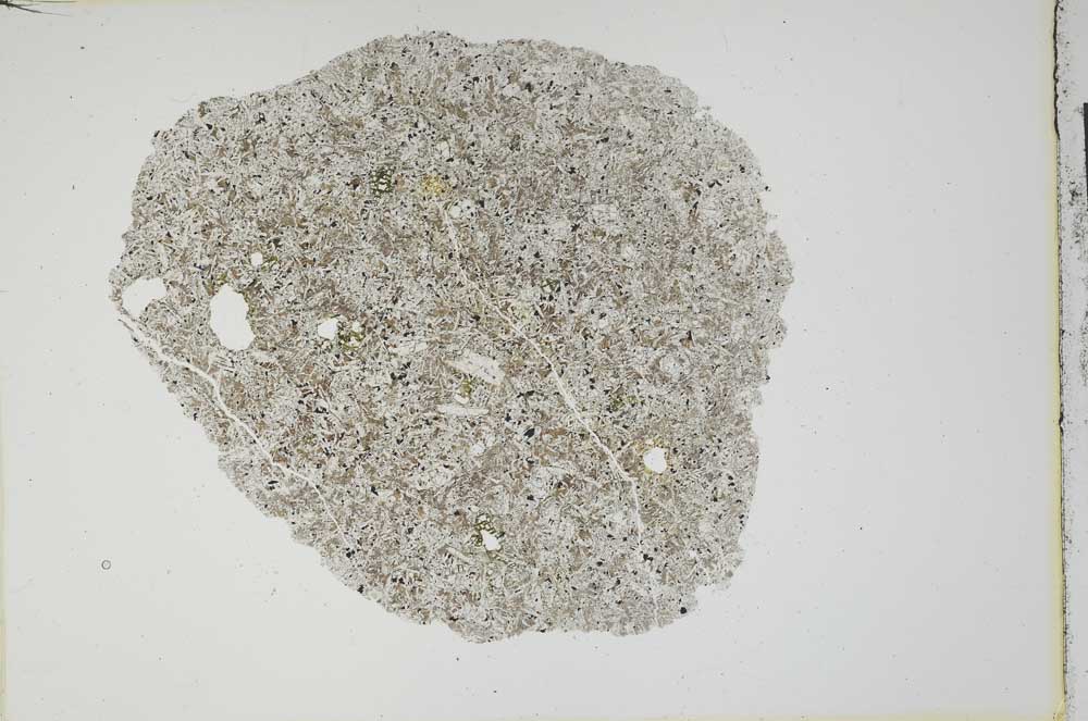 Plane Polarized, S13490