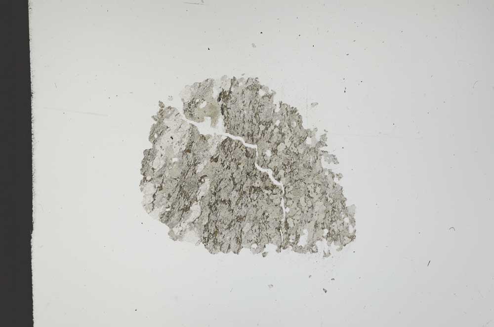 Plane Polarized, S13493