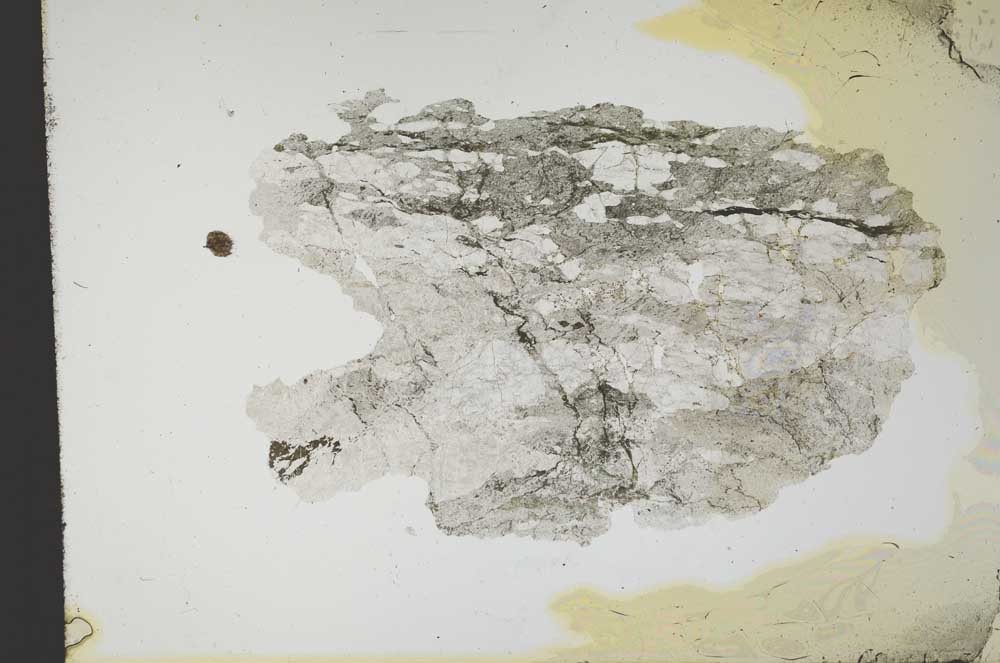 Plane Polarized, S13494