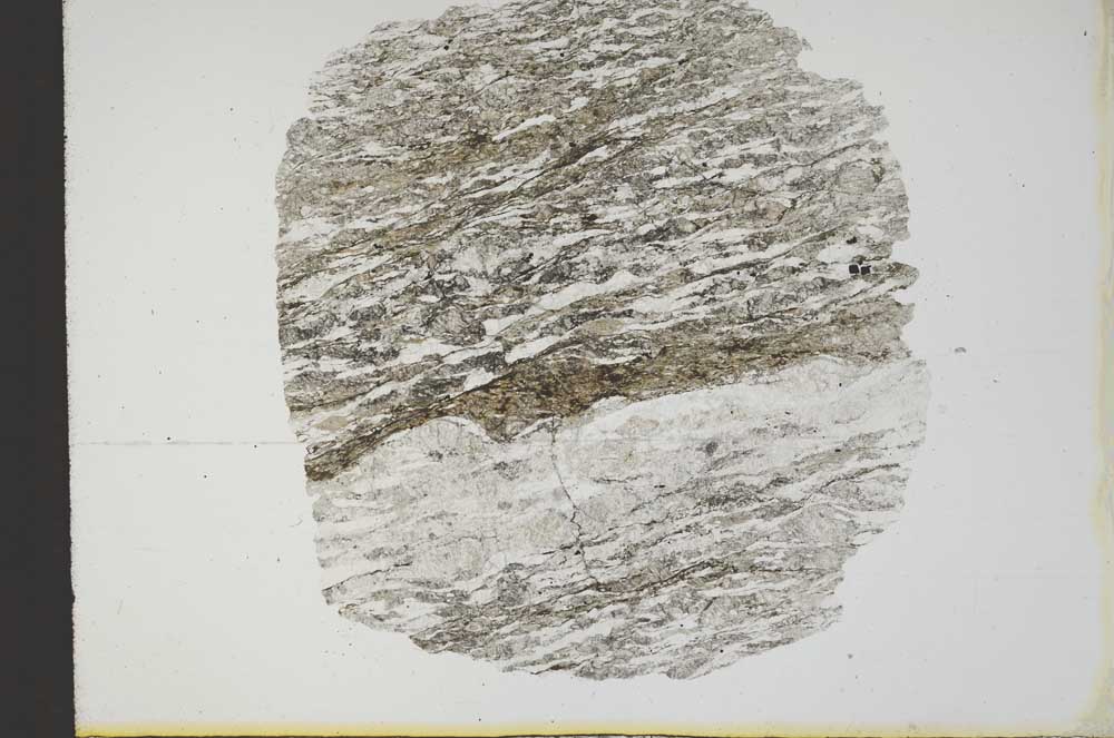 Plane Polarized, S13499